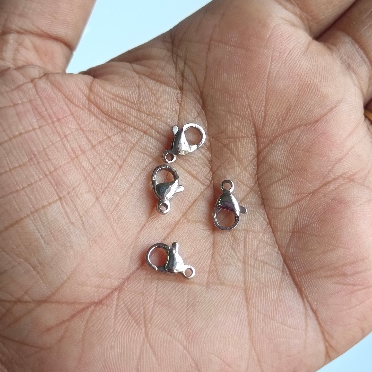 Stainless Steel Hooks (2 Pieces)