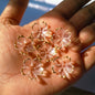 Transparent Flowers(15 Grams)