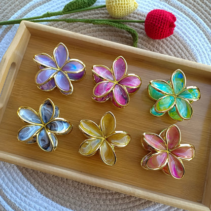 Premium Claws (6 Pieces)