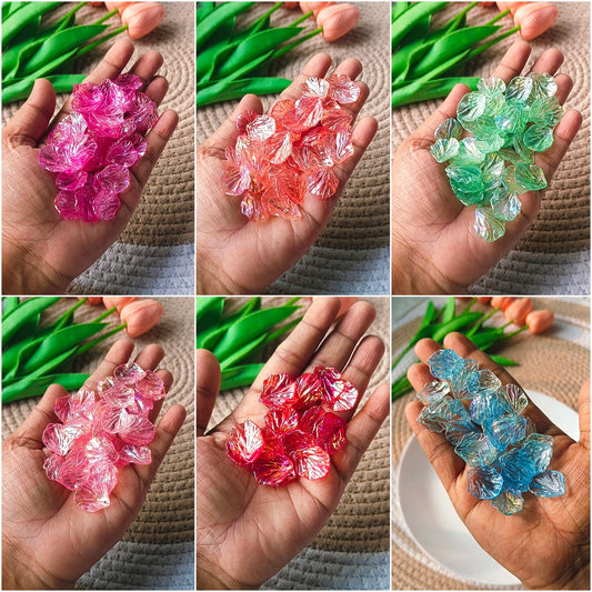 Rainbow Shine Shells(10 Grams)