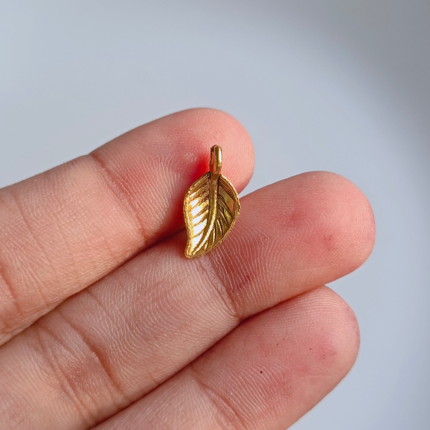 Leaf(5 pieces)