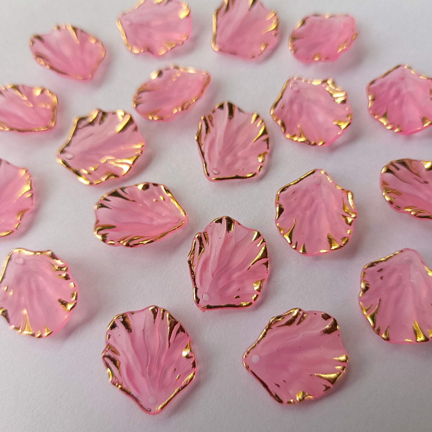 Premium Shells Matte(15 Grams)