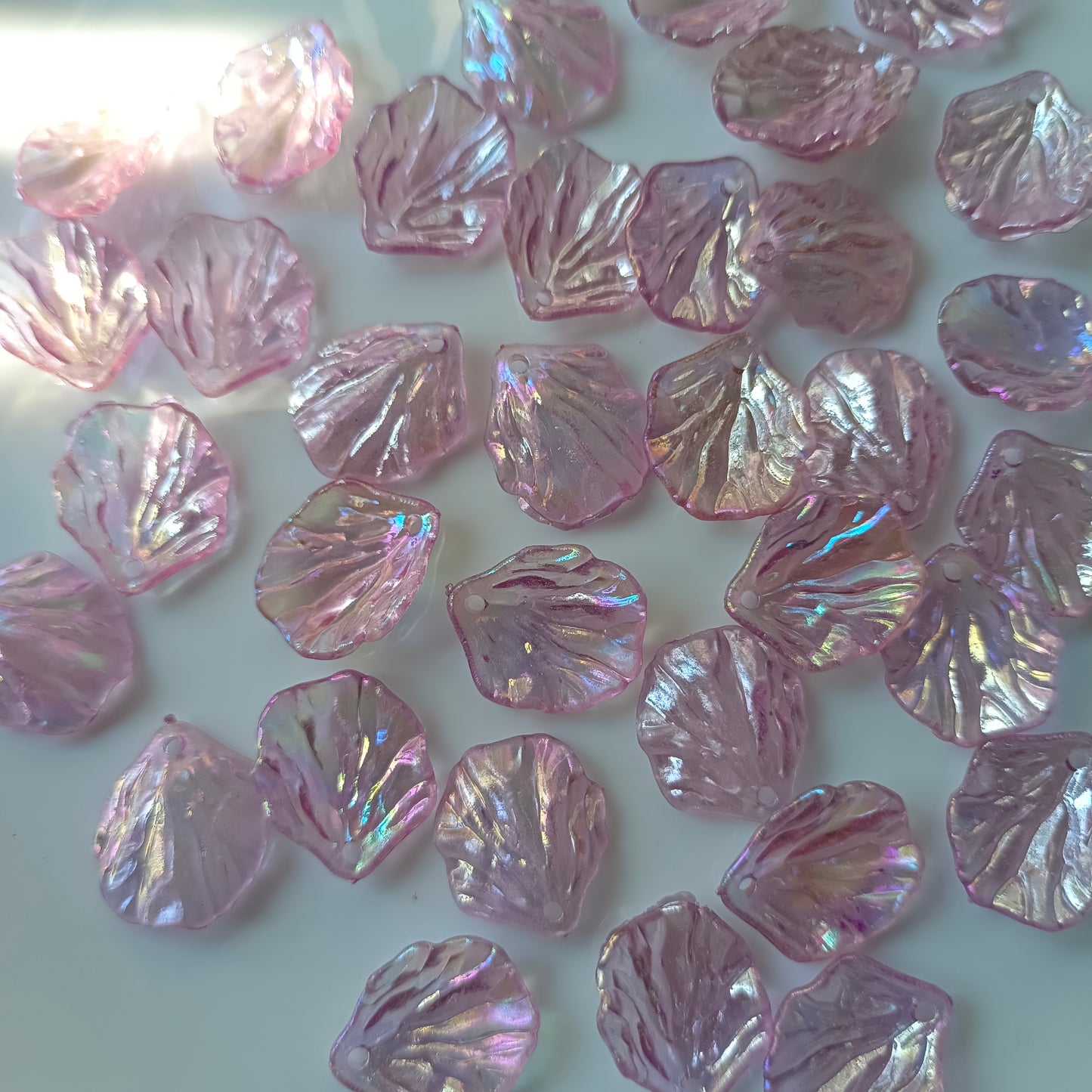 Rainbow Shine Shells(10 Grams)