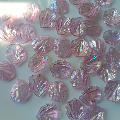 Rainbow Shine Shells(10 Grams)