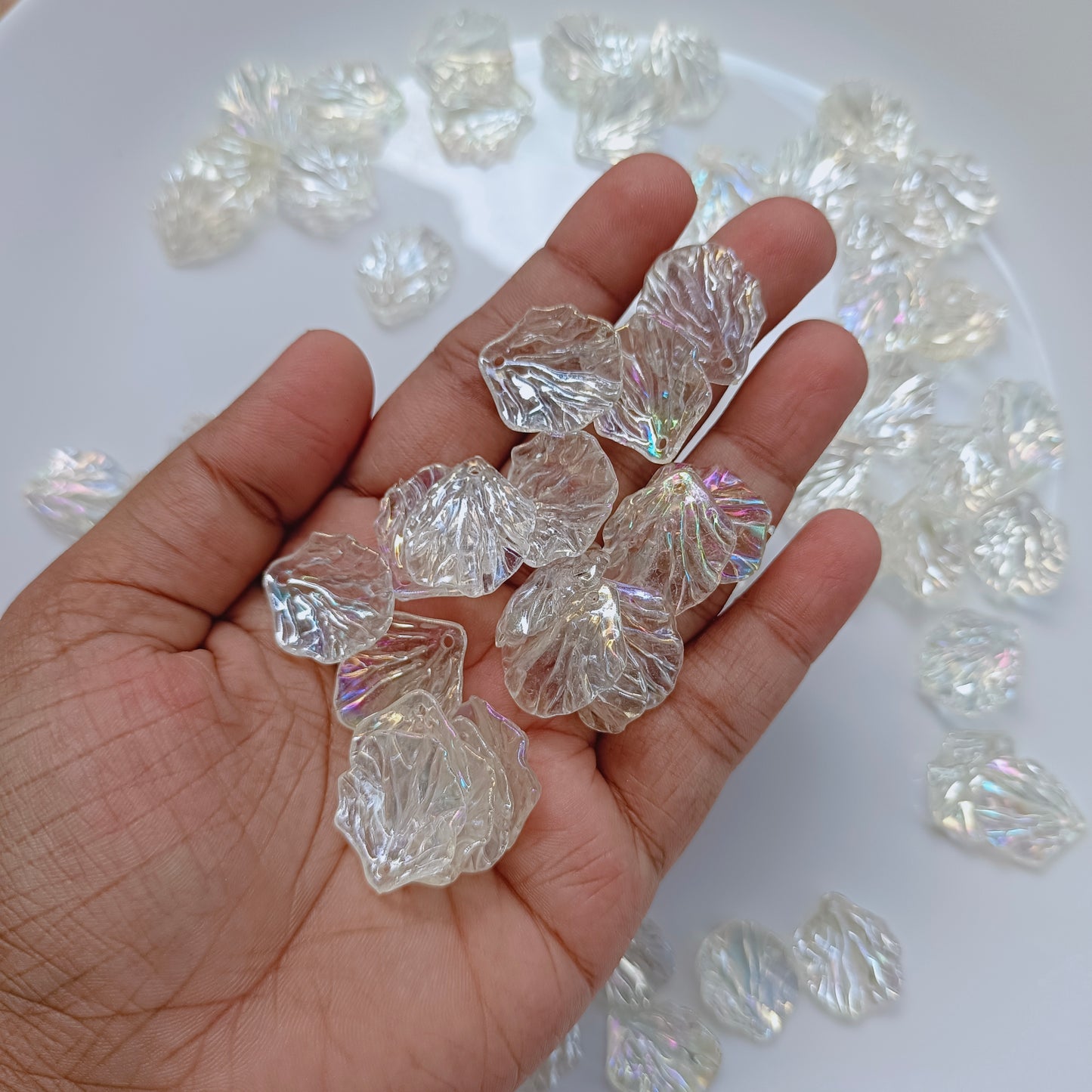 Rainbow Shell(15 gm)