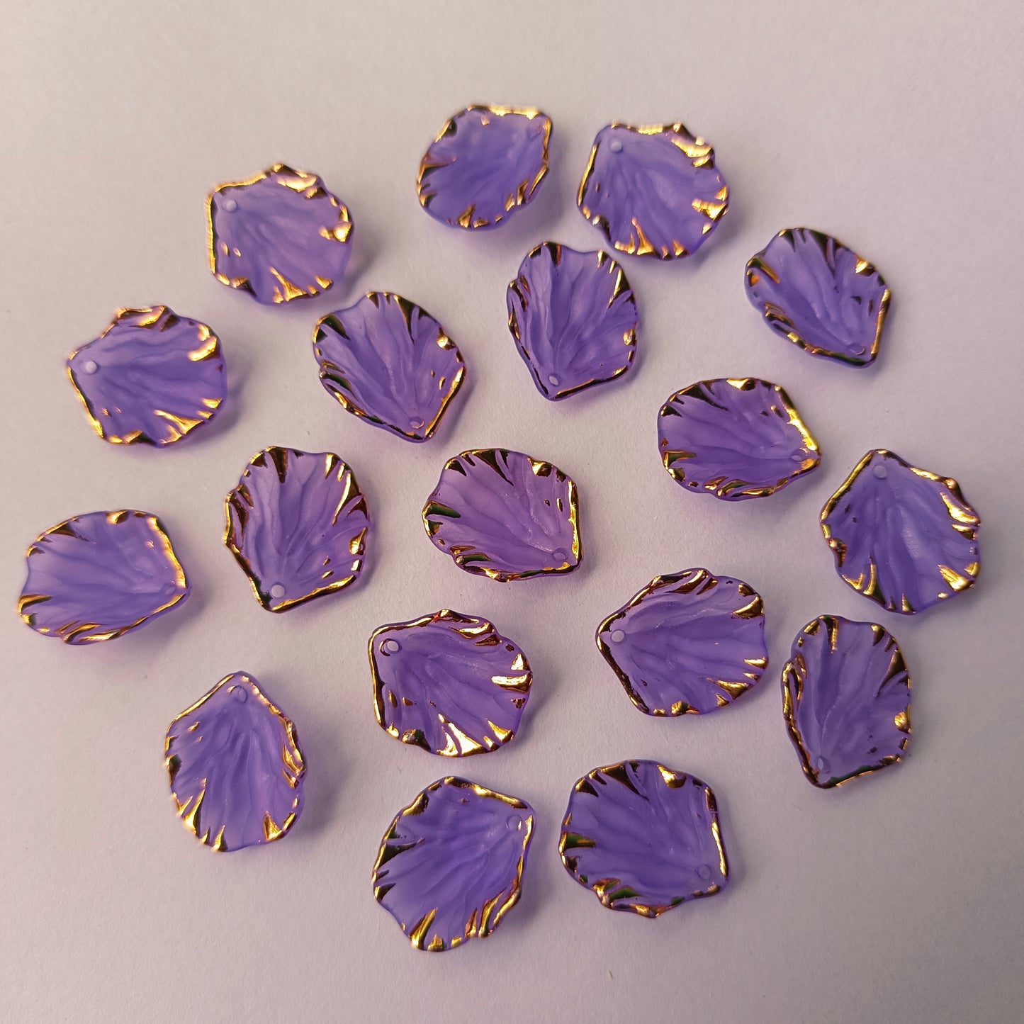 Premium Shells Matte(15 Grams)