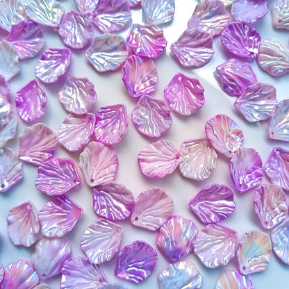 Dual Colour Shell(15 Grams)