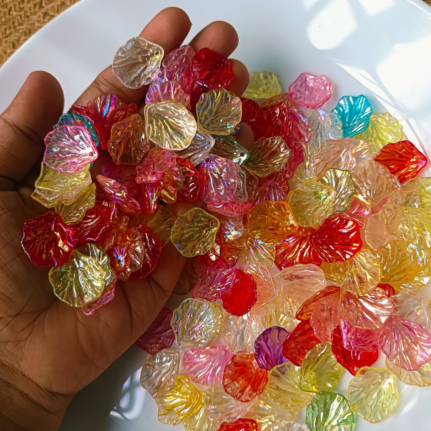 Multi Colour Rainbow Shells
