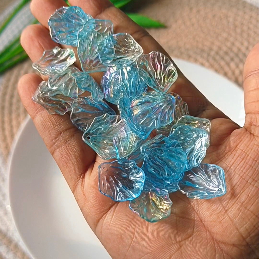 Rainbow Shine Shells(10 Grams)