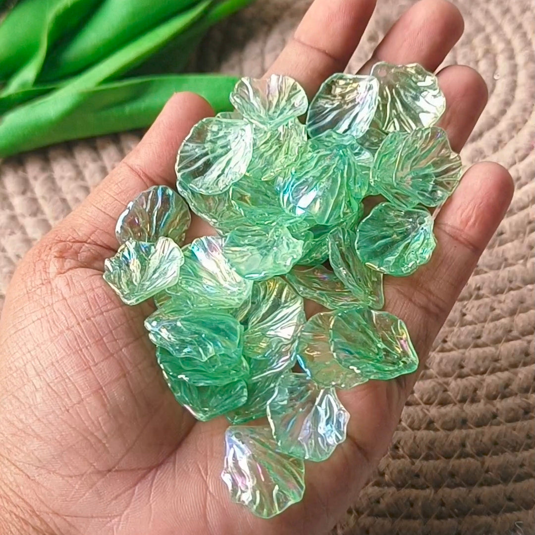 Rainbow Shine Shells(10 Grams)