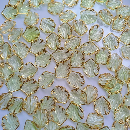Premium Shell(15 Grams)