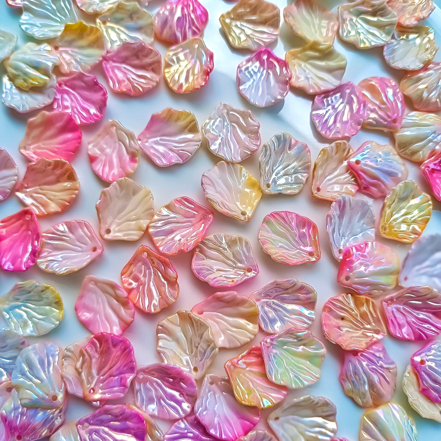 Dual Colour Shell(15 Grams)