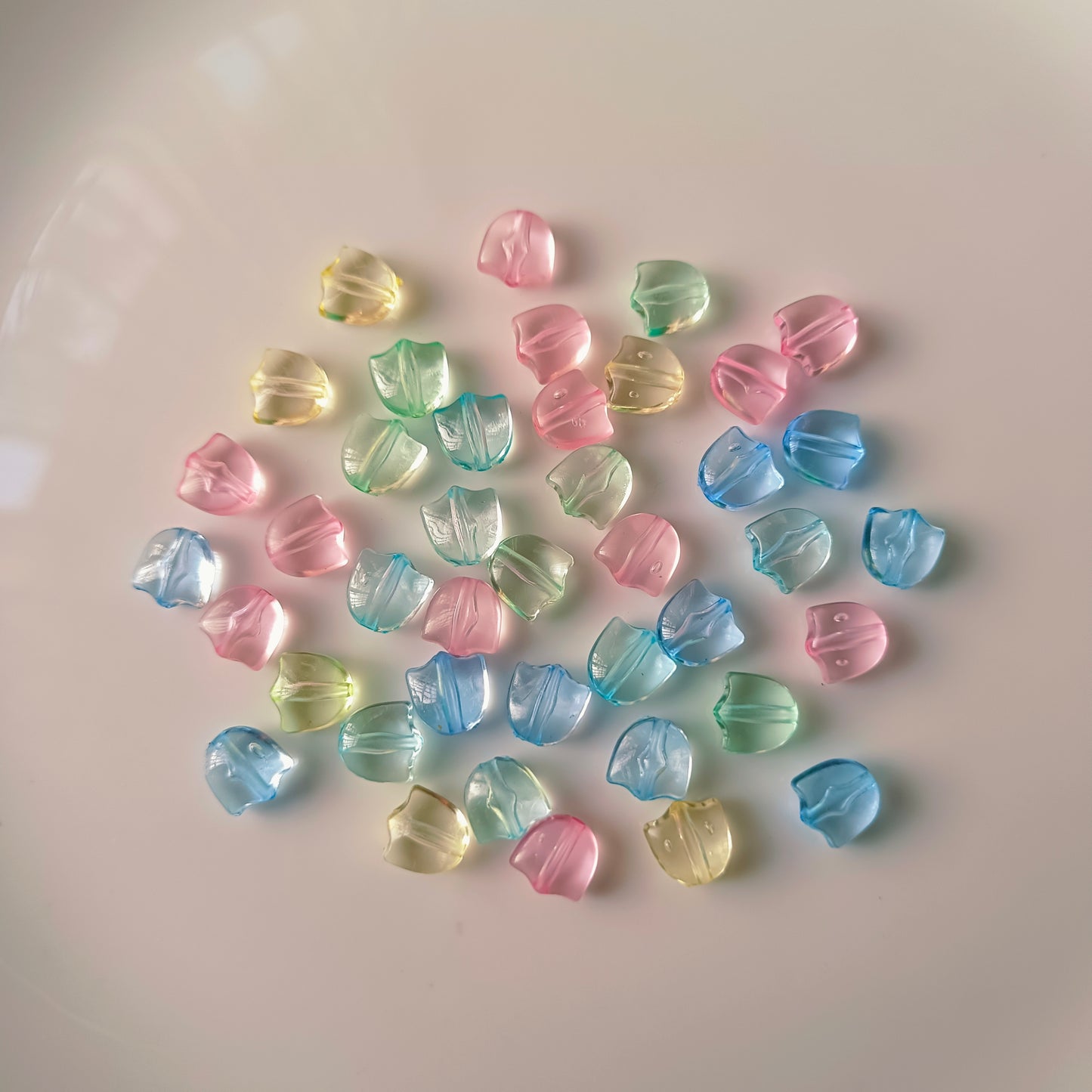 Tulip Flowers(10 Grams)