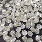 Mini Pearl Shells (10 Grams)