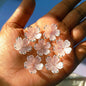 Matte Flowers(15 Grams)