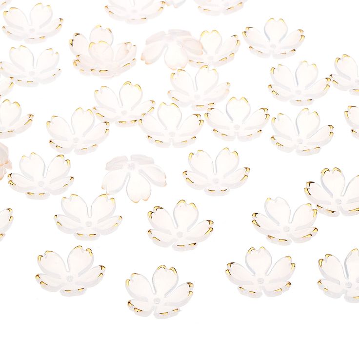Premium Flowers