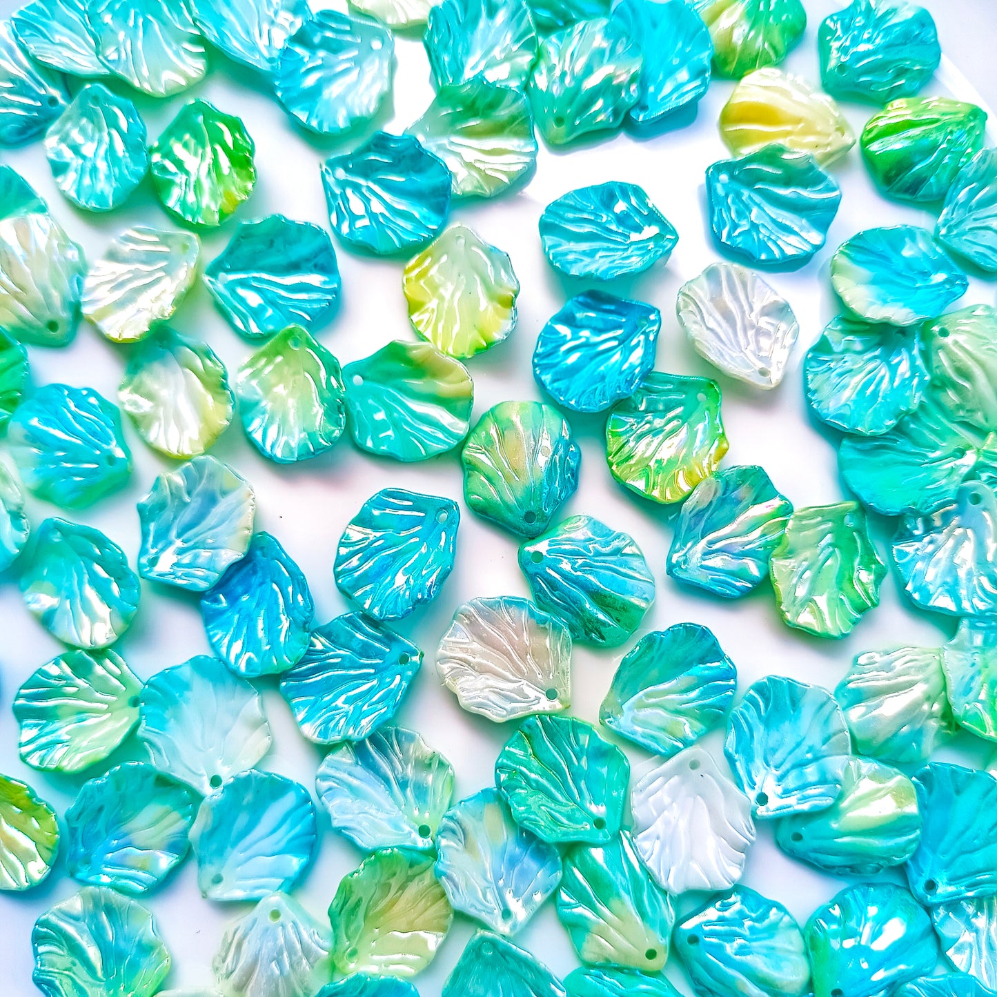 Dual Colour Shell(15 Grams)