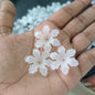 Matte Flowers(15 Grams)