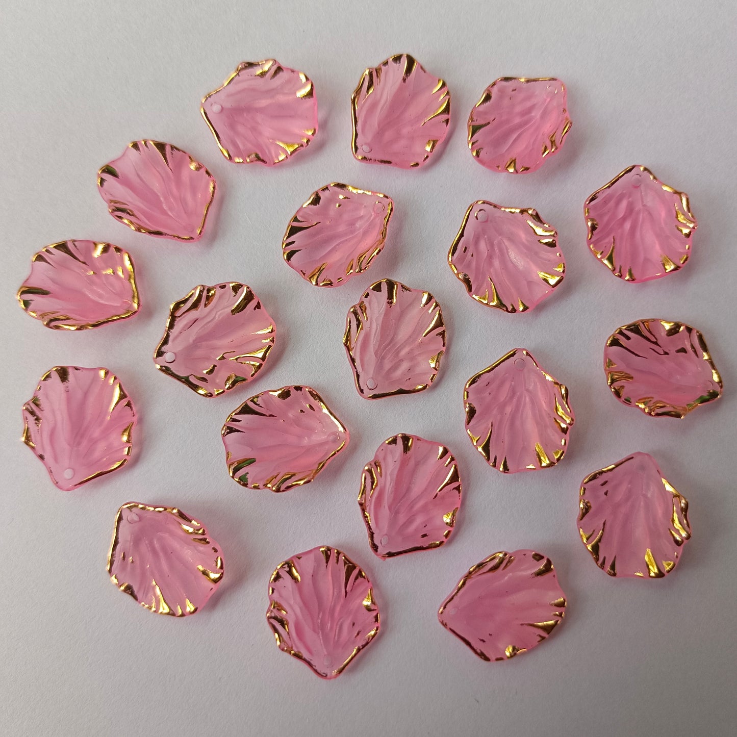 Premium Shells Matte(15 Grams)