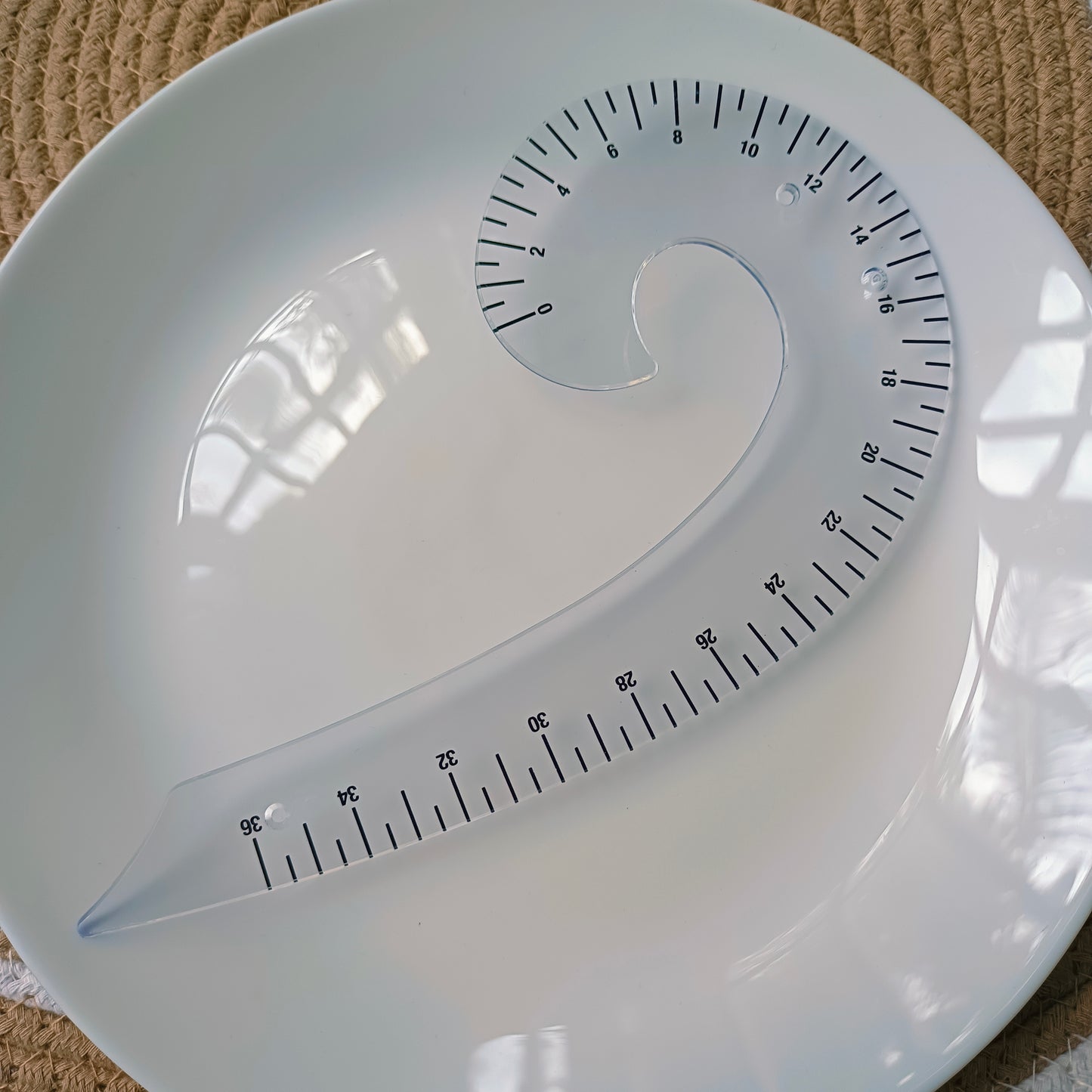 French Curve Scale