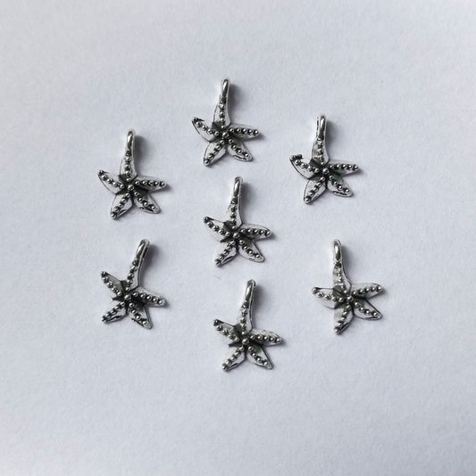 Starfish(10 Pieces)