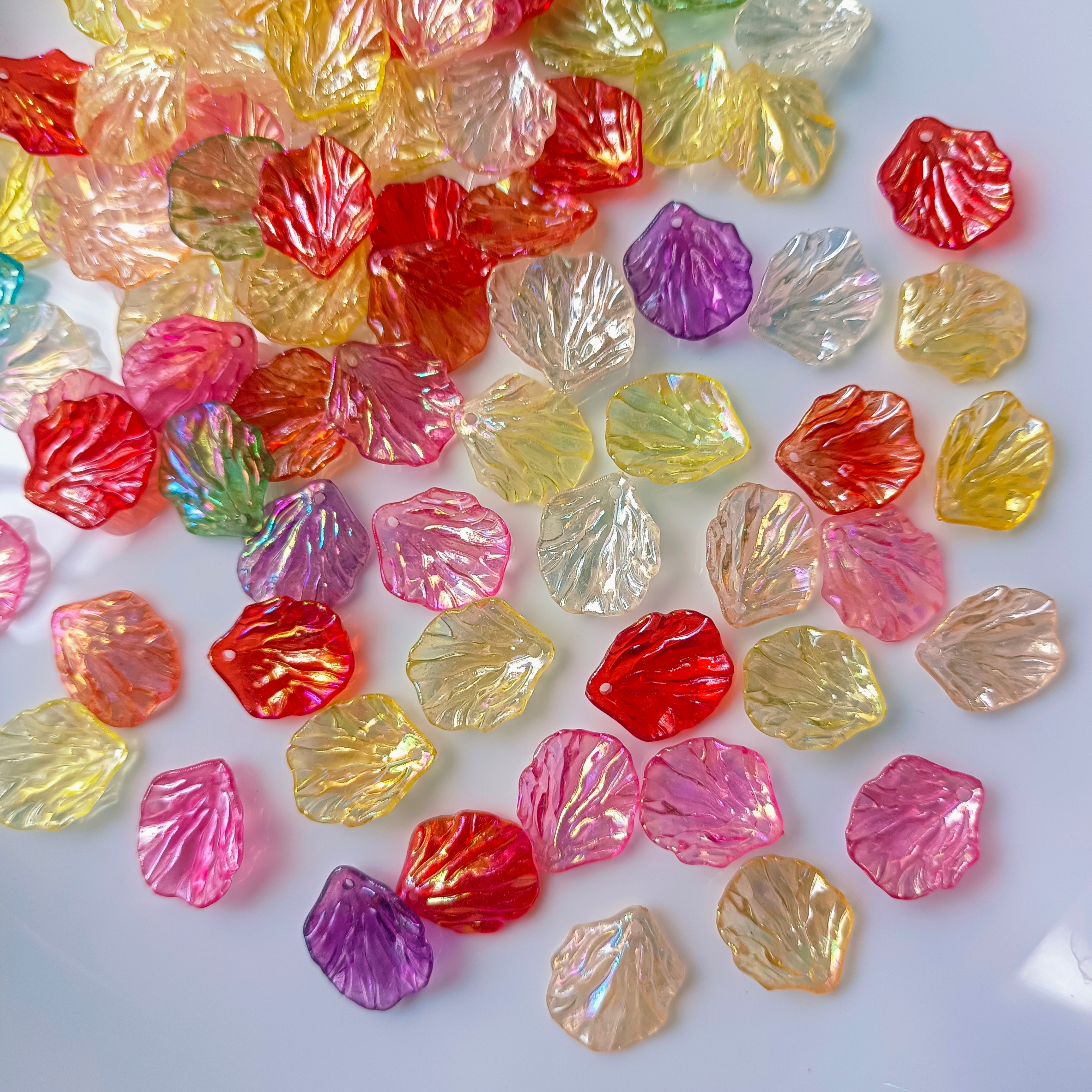 Raibow Shell Multi Colour Rainbow Shells – Nylaa Crafts