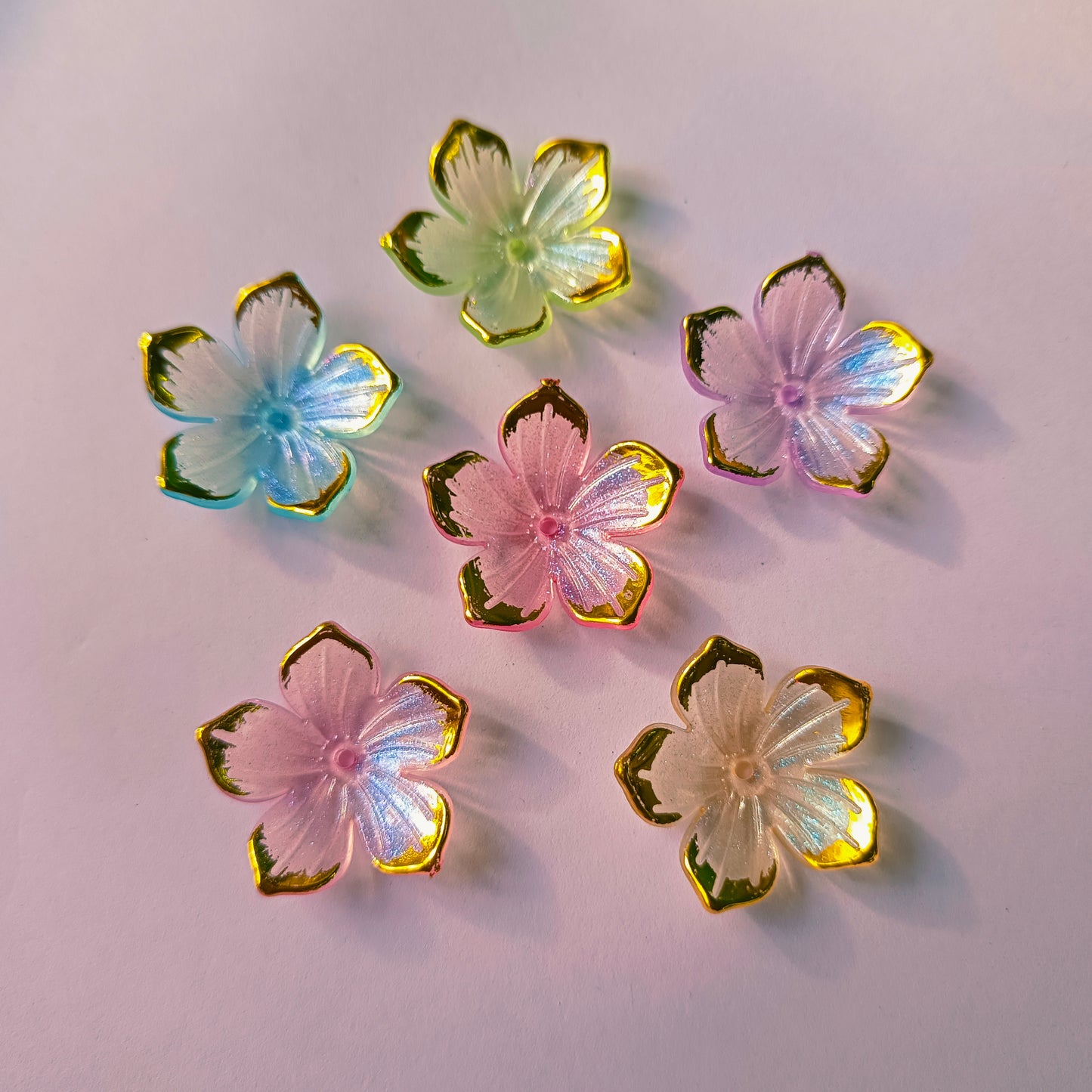 Rainbow Flowers(15 Grams)