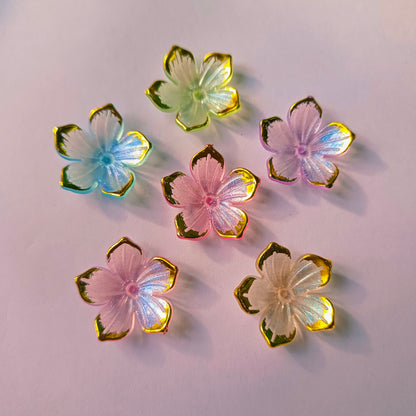 Rainbow Flowers(15 Grams)