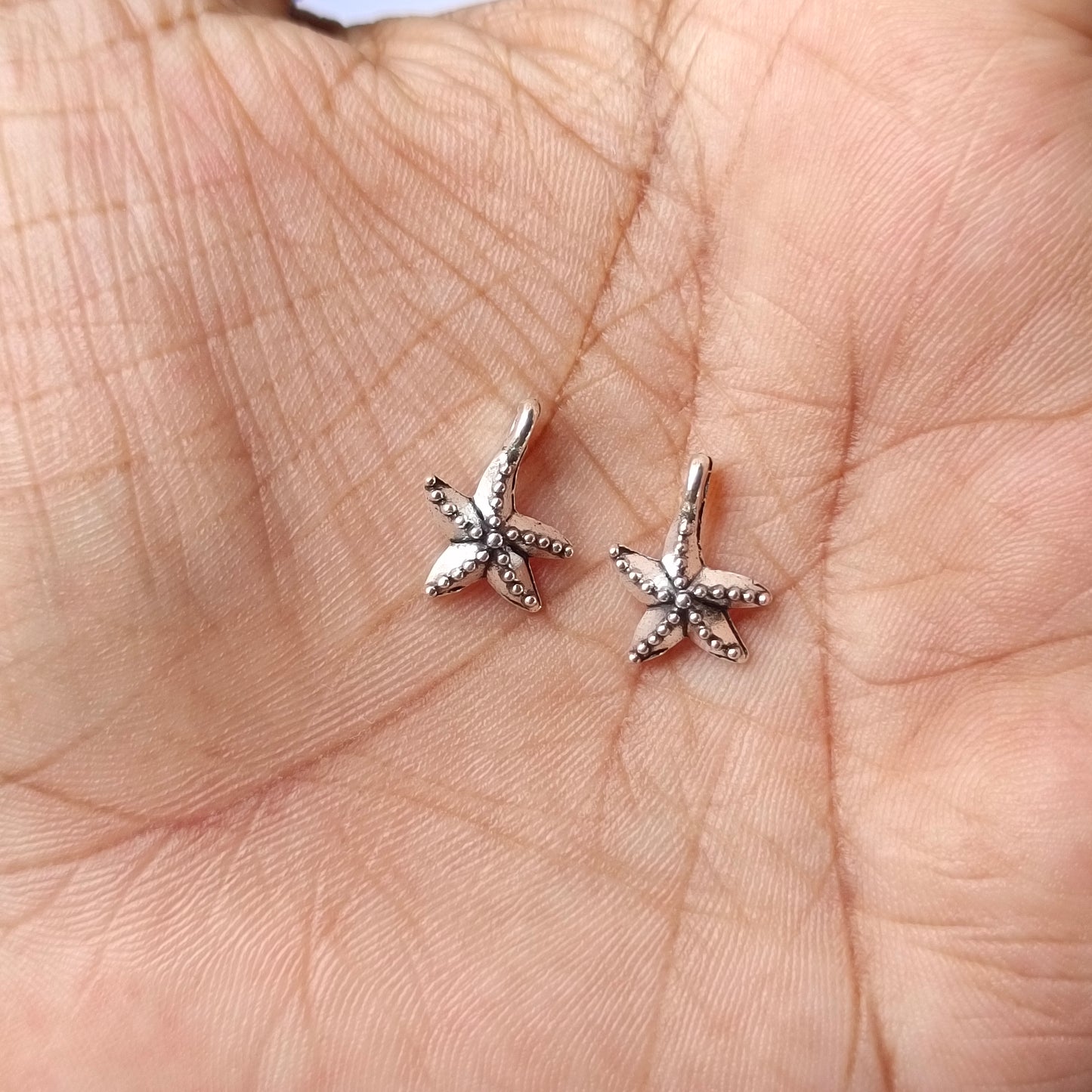 Starfish(10 Pieces)