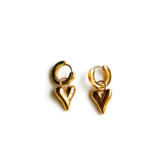 Stainless Steel Earrings (2 in 1)