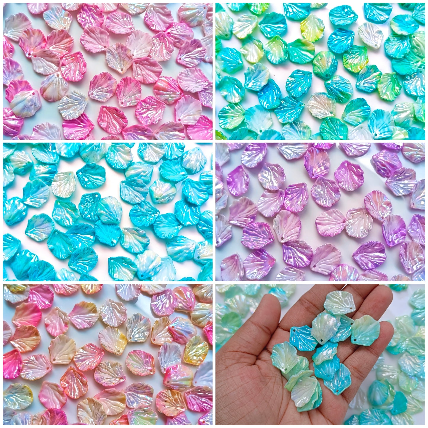 Dual Colour Shell(15 Grams)