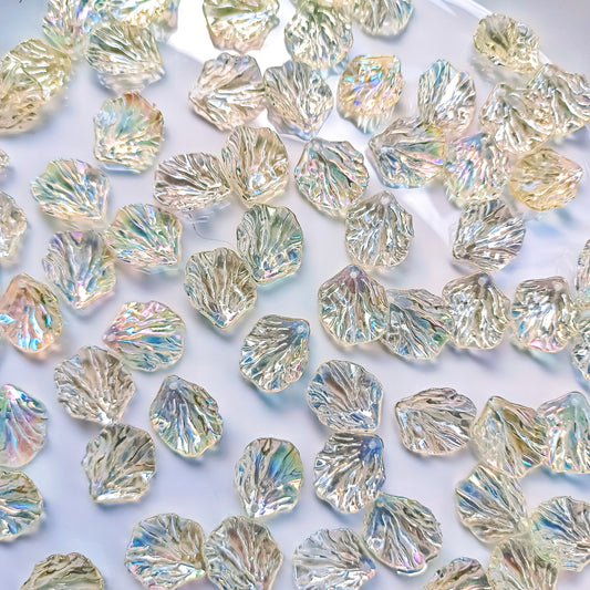 Rainbow Shell(15 gm)