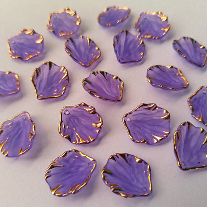 Premium Shells Matte(15 Grams)