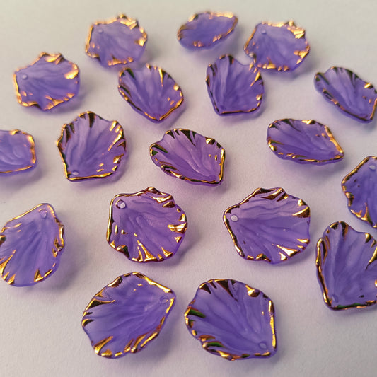 Premium Shells Matte(15 Grams)