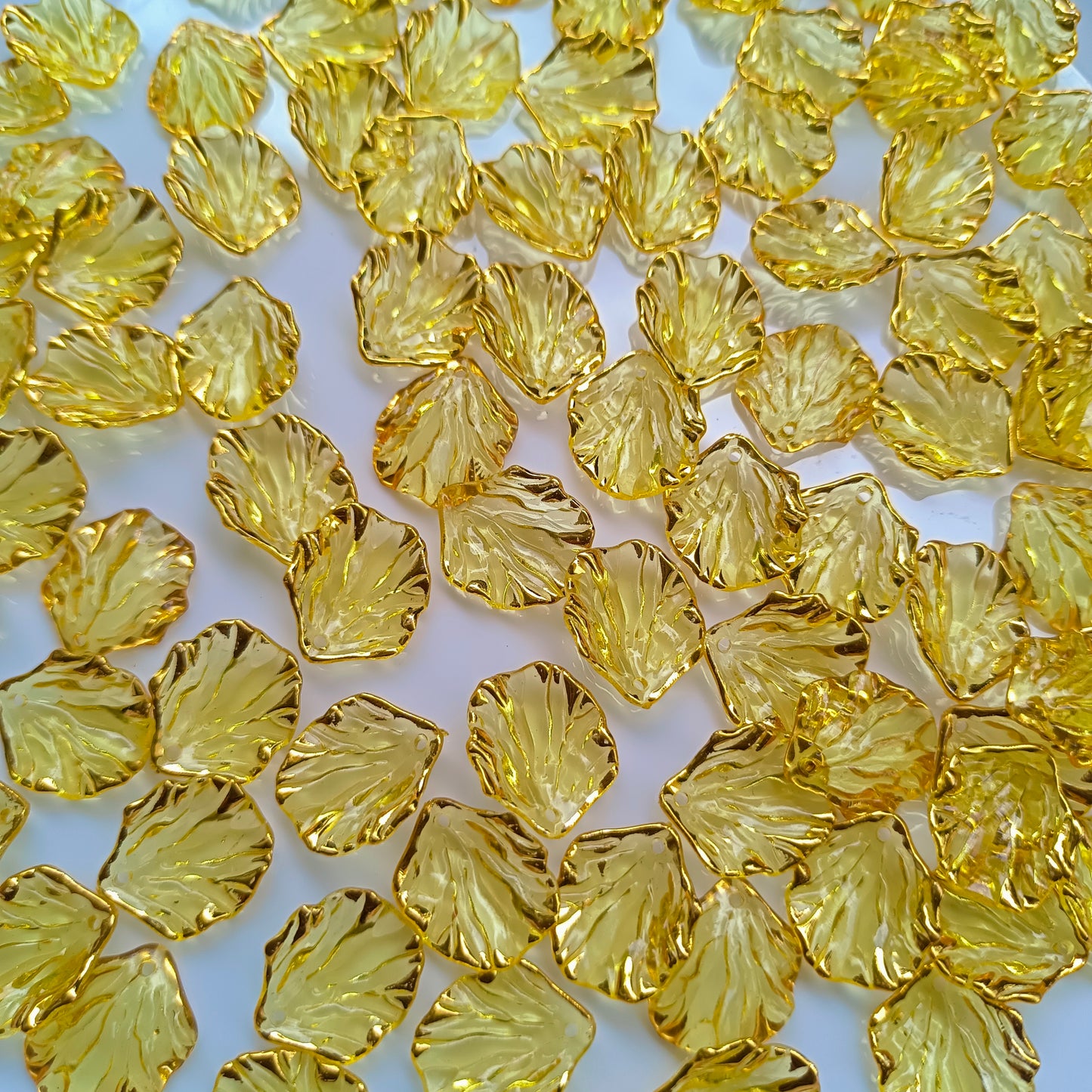 Premium Shell(15 Grams)