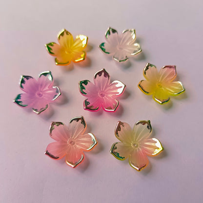 Dual Tone Flowers(15 Grams)